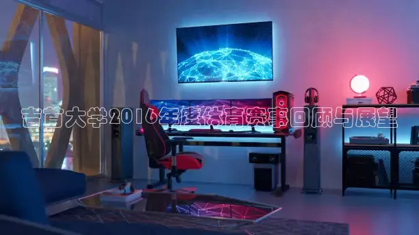 k球体育直播